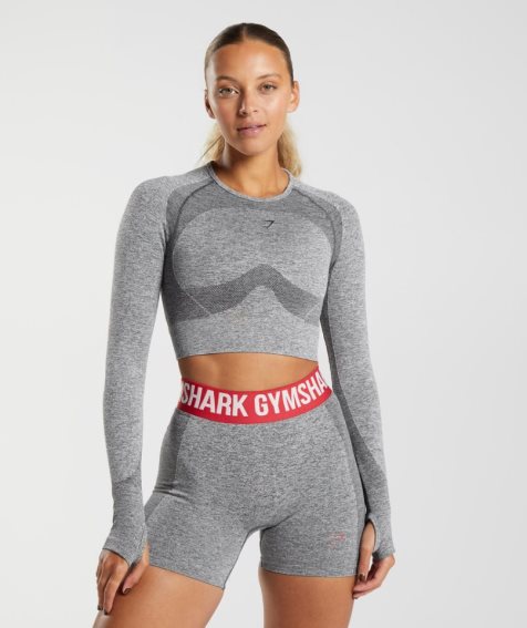 Camisa Recortada Gymshark Flex Long Sleeve Mujer Gris | ES5498-ZE