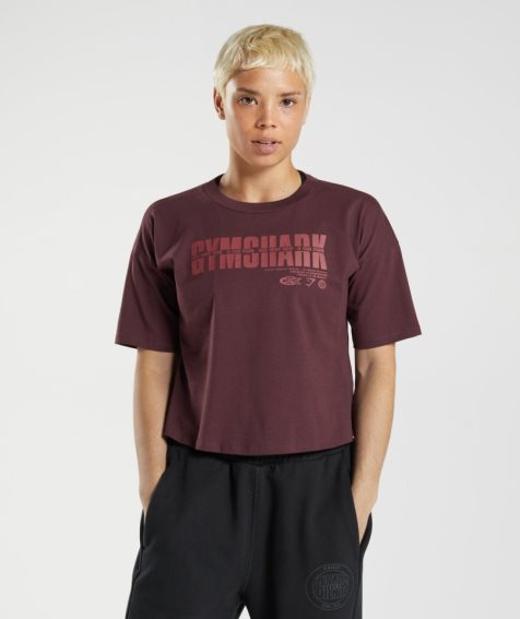 Camisa Recortada Gymshark GS10 Year Midi Mujer Burdeos | ES3270-LQ