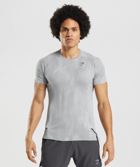 Camiseta Gymshark Apex Hombre Gris Claro | ES8324-DO