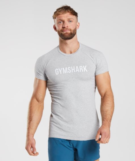 Camiseta Gymshark Apollo Hombre Gris Claro | ES2657-KR