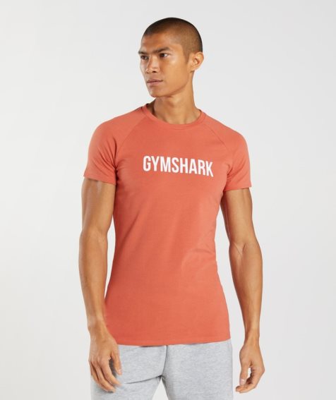 Camiseta Gymshark Apollo Hombre Naranjas | ES7013-NL