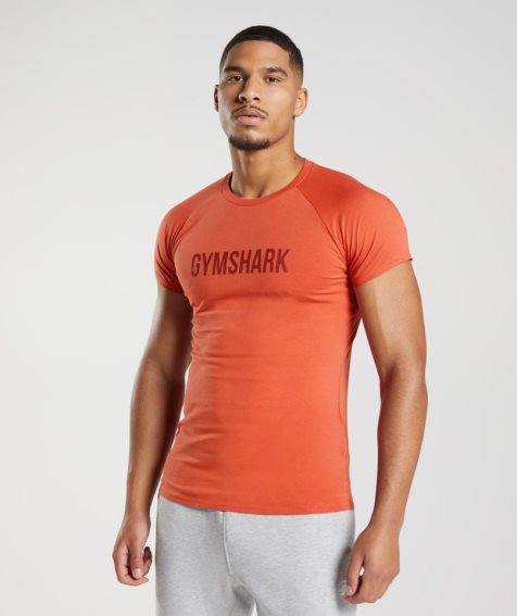 Camiseta Gymshark Apollo Hombre Naranjas | ES9572-AN