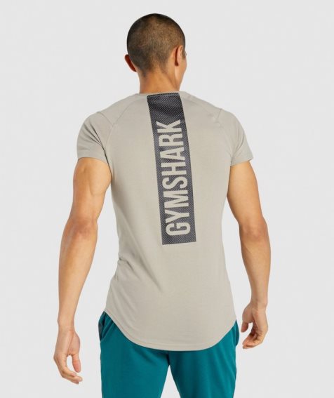 Camiseta Gymshark Bold Hombre Gris | ES5429-LA