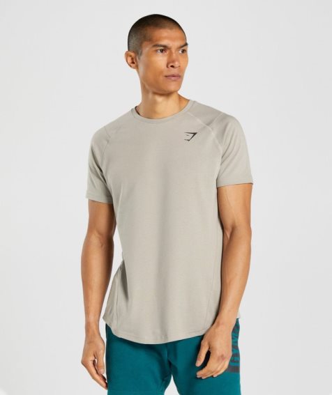 Camiseta Gymshark Bold Hombre Gris | ES7692-LB