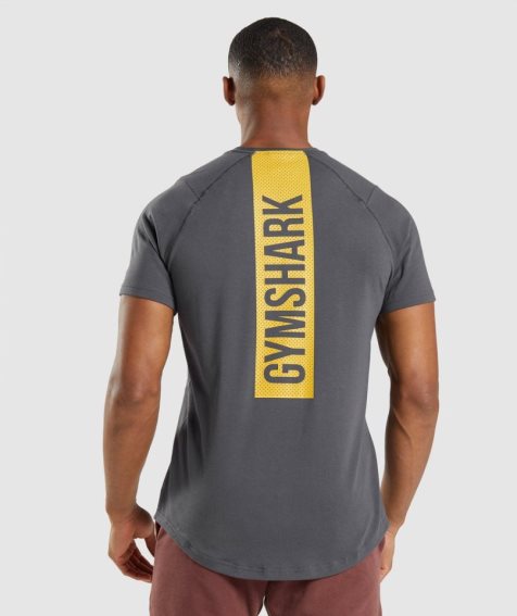 Camiseta Gymshark Bold Hombre Gris Oscuro | ES7516-UM