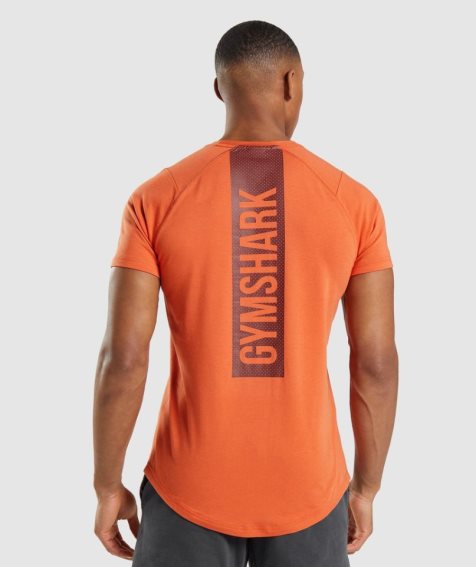 Camiseta Gymshark Bold Hombre Naranjas | ES1734-ZY