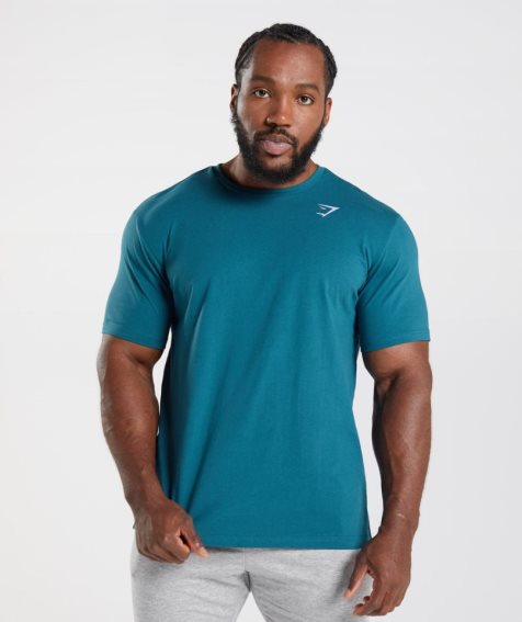 Camiseta Gymshark Crest Hombre Turquesa | ES1327-GS