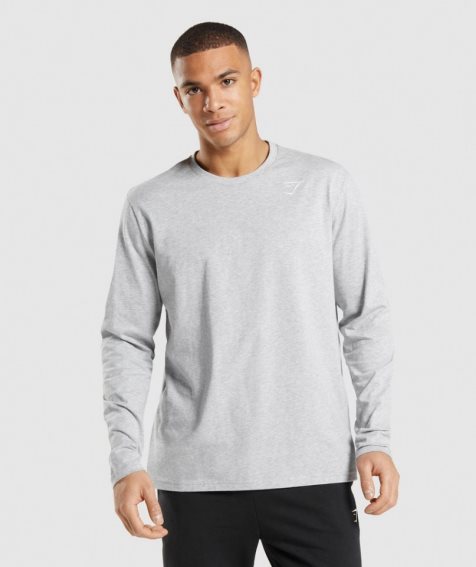 Camiseta Gymshark Crest Long Sleeve Hombre Gris Claro | ES6984-VL