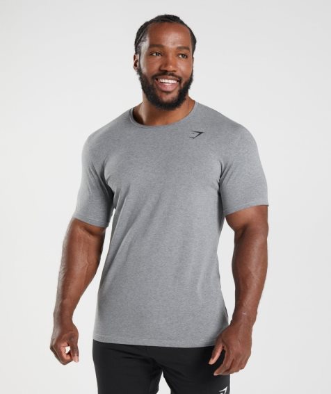 Camiseta Gymshark Essential Hombre Gris | ES0451-JB