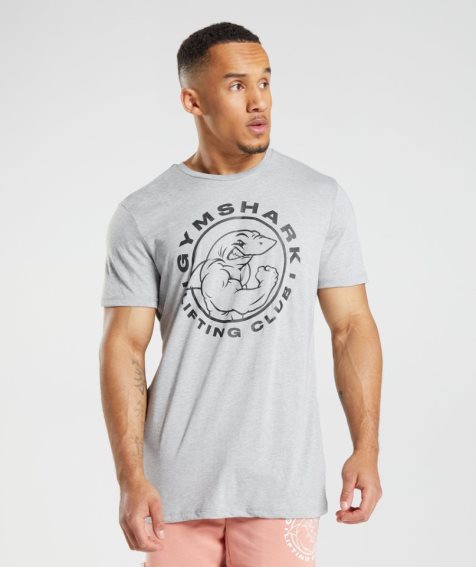 Camiseta Gymshark Legacy Hombre Gris Claro | ES2705-TE