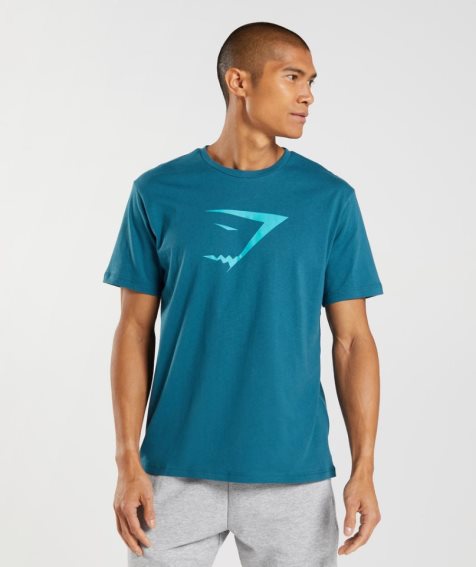 Camiseta Gymshark Sharkhead Infill Hombre Turquesa | ES7564-HE