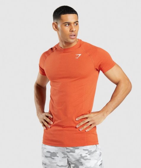 Camiseta Gymshark Vital Light Seamless Hombre Naranjas | ES7840-TJ