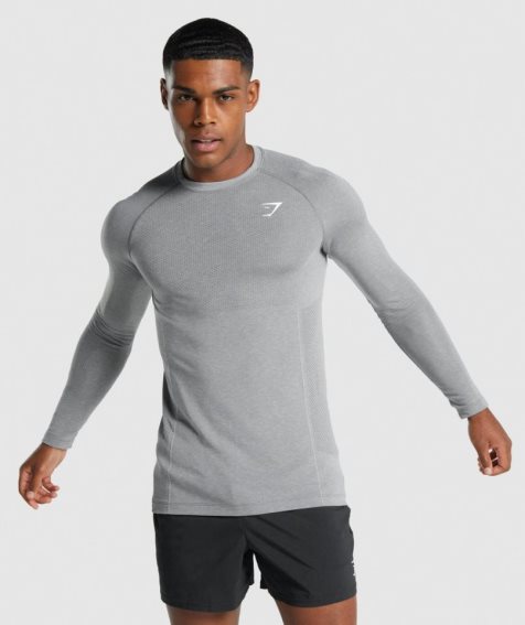 Camiseta Gymshark Vital Light Seamless Long Sleeve Hombre Gris | ES7632-JQ