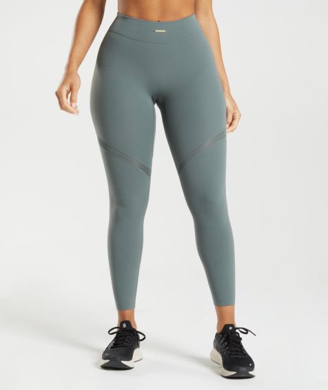 Leggins Gymshark Whitney Mesh Mujer Gris | ES5391-VQ