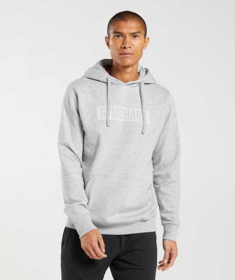 Sudadera Con Capucha Gymshark Block Hombre Gris Claro | ES8106-PY