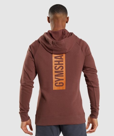 Sudadera Con Capucha Gymshark Bold Hombre Marrones | ES5138-GS