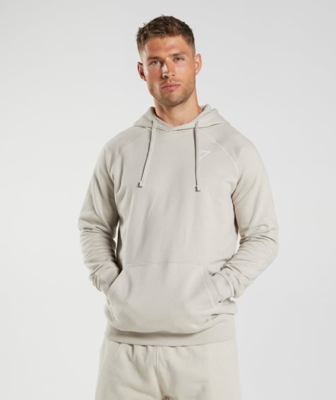 Sudadera Con Capucha Gymshark Crest Hombre Gris Claro | ES9178-PB