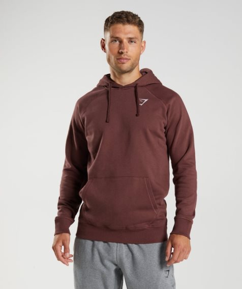 Sudadera Con Capucha Gymshark Crest Hombre Marrones | ES9248-NZ