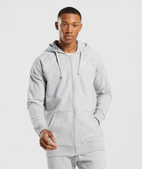 Sudadera Con Capucha Gymshark Crest Zip Up Hombre Gris Claro | ES8653-IA