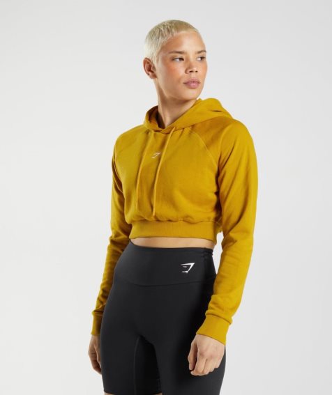 Sudadera Con Capucha Gymshark Entrenamiento Cropped Mujer Amarillo | ES9157-DR