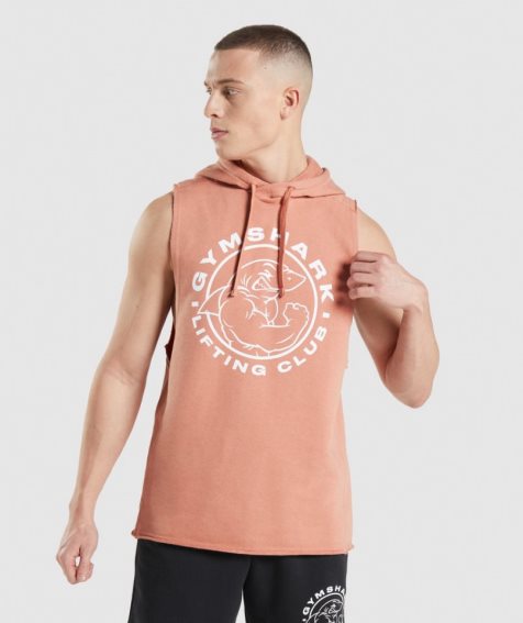 Sudadera Con Capucha Gymshark Legacy Drop Arm Hombre Rosas | ES2803-JN