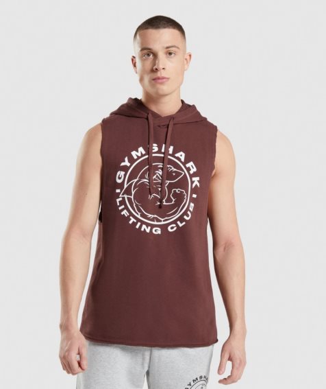 Sudadera Con Capucha Gymshark Legacy Drop Arm Hombre Marrones | ES4120-FP