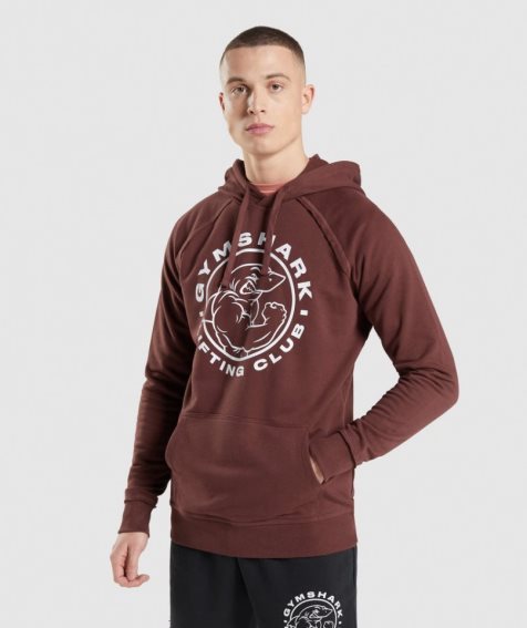 Sudadera Con Capucha Gymshark Legacy Hombre Marrones | ES8429-FK