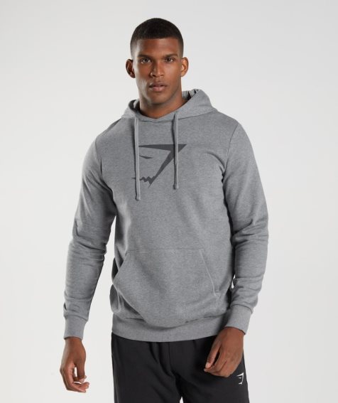 Sudadera Con Capucha Gymshark Sharkhead Infill Hombre Gris | ES2341-WE