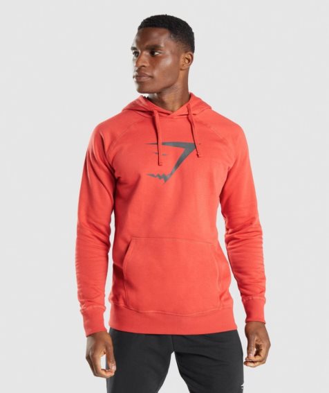 Sudadera Con Capucha Gymshark Sharkhead Infill Hombre Naranjas | ES6723-FA