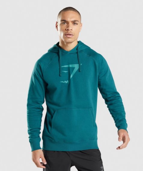 Sudadera Con Capucha Gymshark Sharkhead Infill Hombre Turquesa | ES8362-EQ