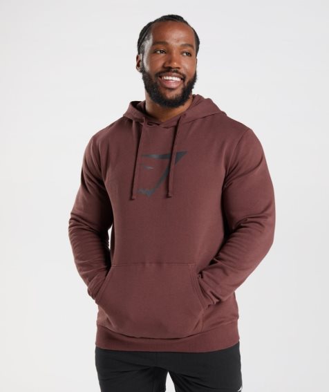 Sudadera Con Capucha Gymshark Sharkhead Infill Hombre Marrones | ES9743-NB