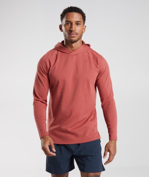 Sudadera Con Capucha Gymshark Studio Hombre Rosas | ES9470-WI