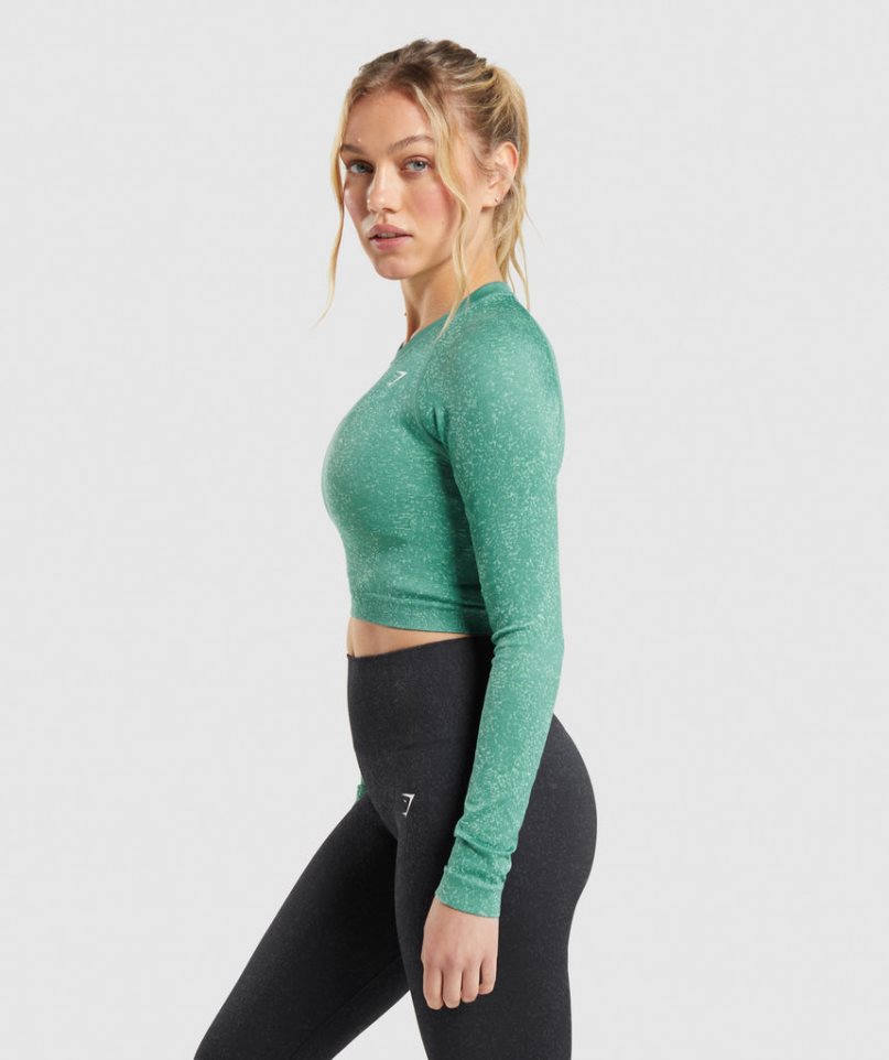 Camisa Recortada Gymshark Adapt Fleck Seamless Long Sleeve Mujer Verde | ES3476-XD