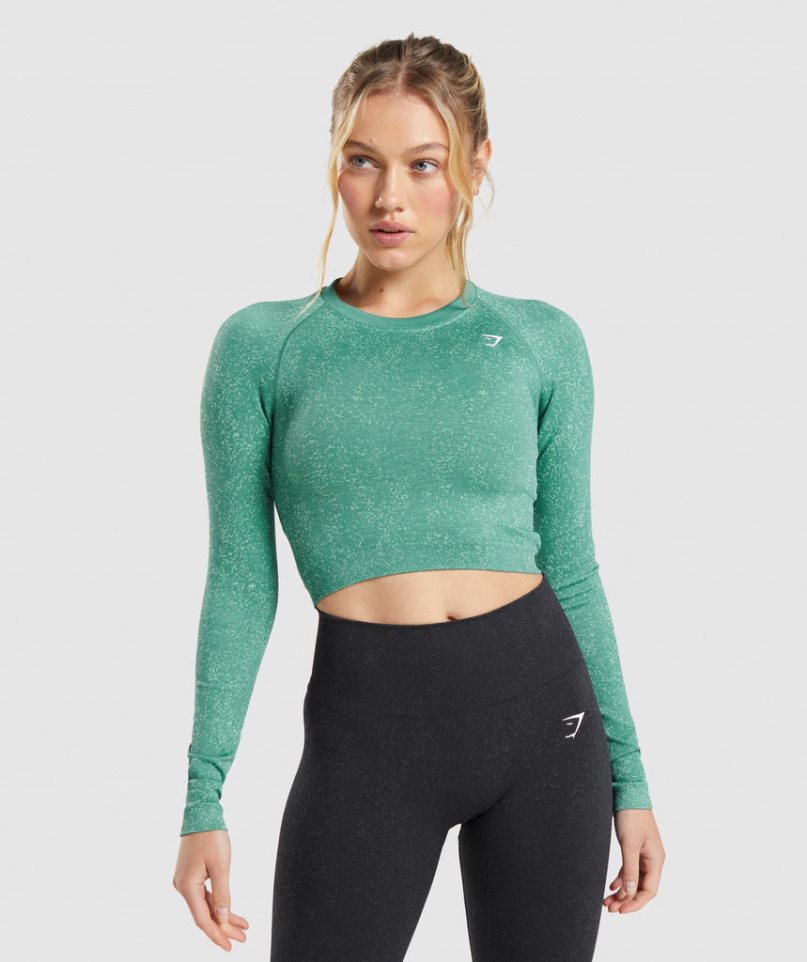 Camisa Recortada Gymshark Adapt Fleck Seamless Long Sleeve Mujer Verde | ES3476-XD