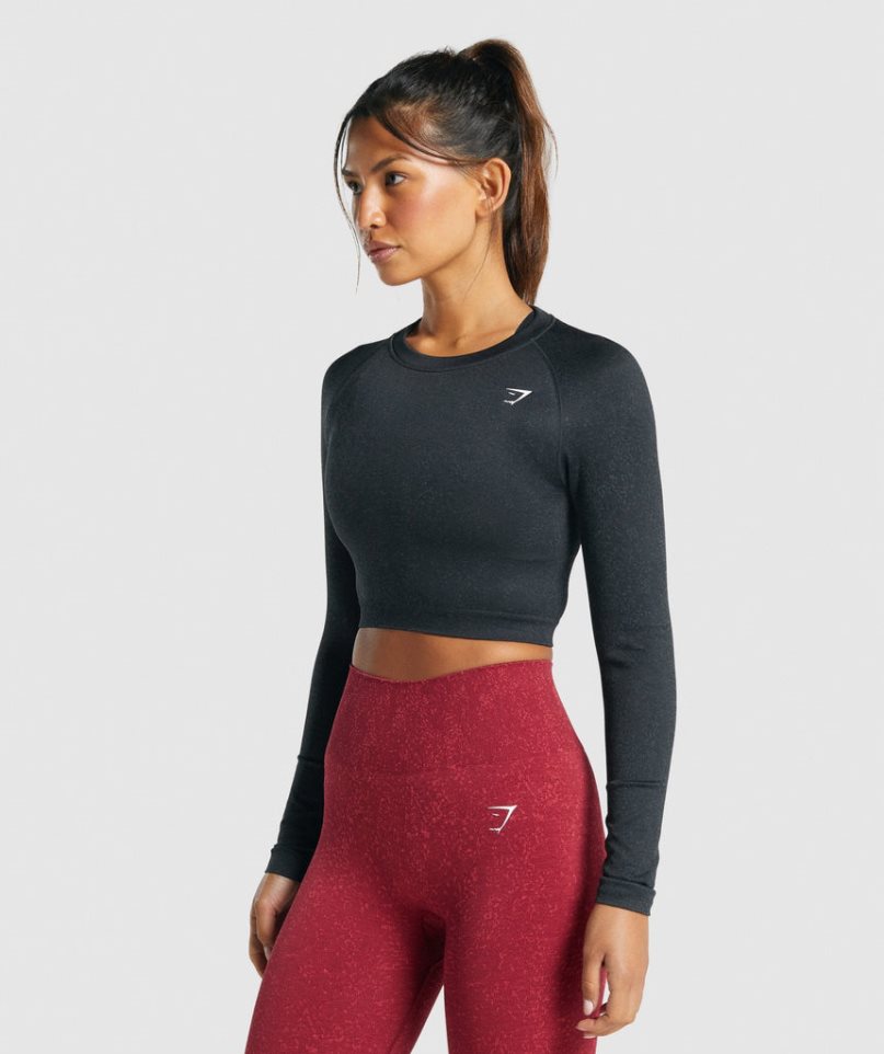 Camisa Recortada Gymshark Adapt Fleck Seamless Long Sleeve Mujer Negras | ES6320-RS