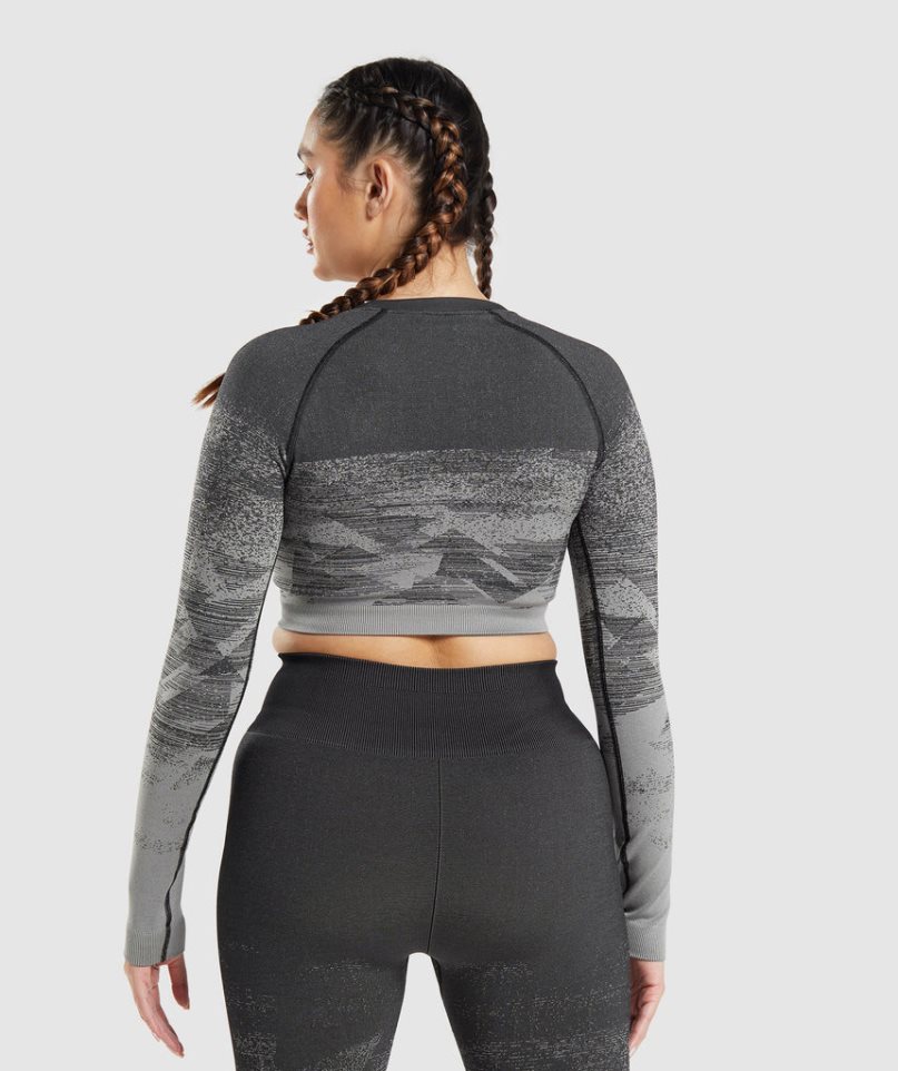 Camisa Recortada Gymshark Adapt Ombre Mujer Gris | ES0974-LP