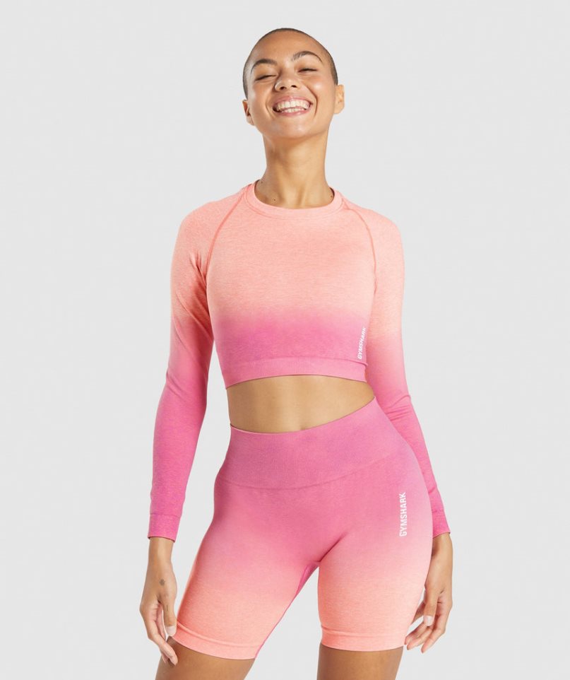 Camisa Recortada Gymshark Adapt Ombre Seamless Long Sleeve Mujer Rosas | ES8193-JS