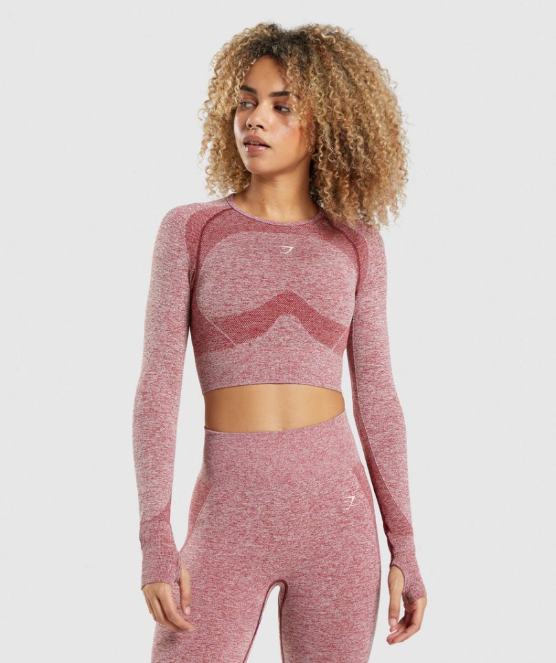 Camisa Recortada Gymshark Flex Sports Long Sleeve Mujer Burdeos | ES4931-WC