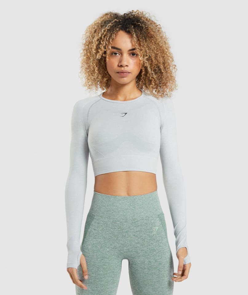 Camisa Recortada Gymshark Flex Sports Long Sleeve Mujer Gris Claro | ES6085-YZ