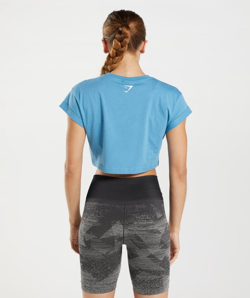 Camisa Recortada Gymshark Fraction Mujer Azules | ES0432-TA