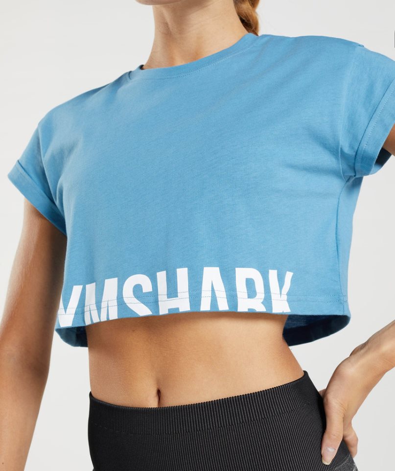 Camisa Recortada Gymshark Fraction Mujer Azules | ES0432-TA