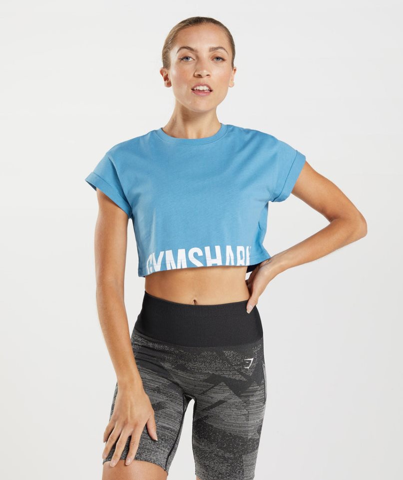 Camisa Recortada Gymshark Fraction Mujer Azules | ES0432-TA