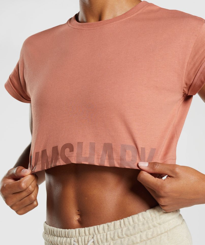 Camisa Recortada Gymshark Fraction Mujer Marrones | ES3198-IU