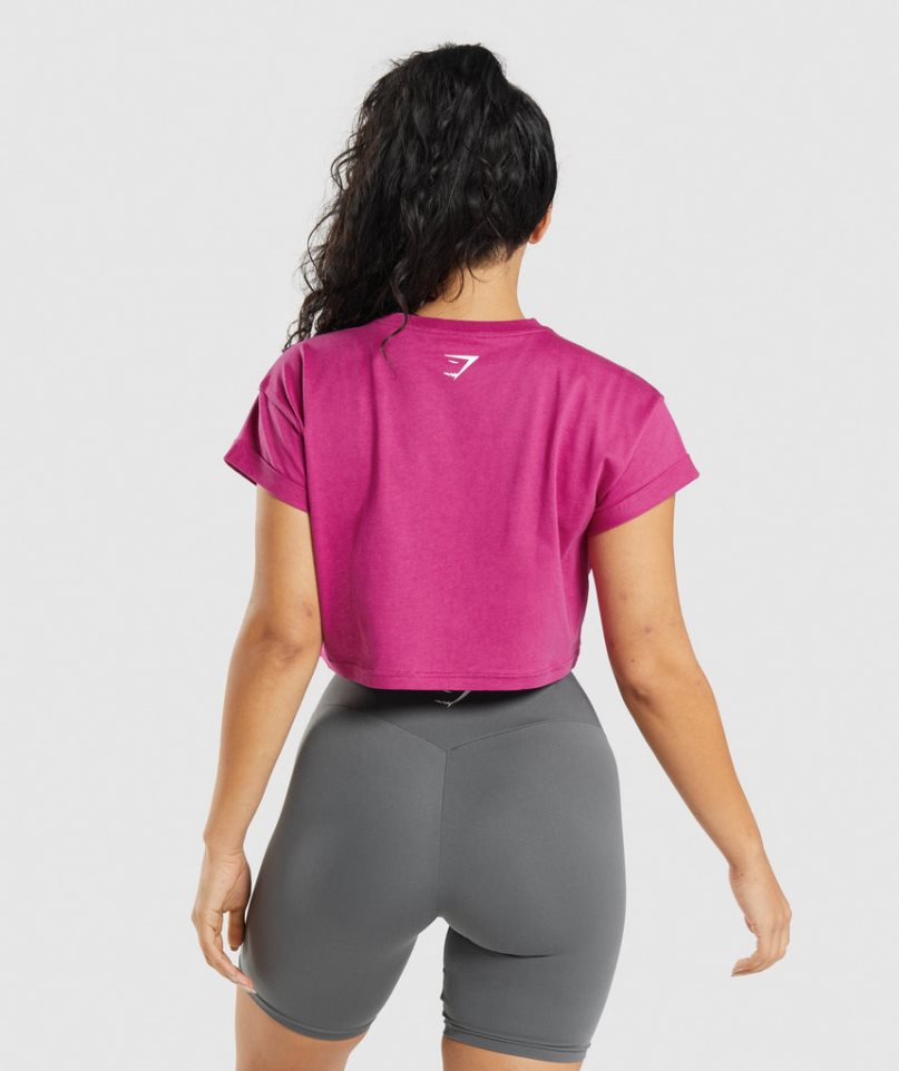 Camisa Recortada Gymshark Fraction Mujer Fucsia | ES4087-GB