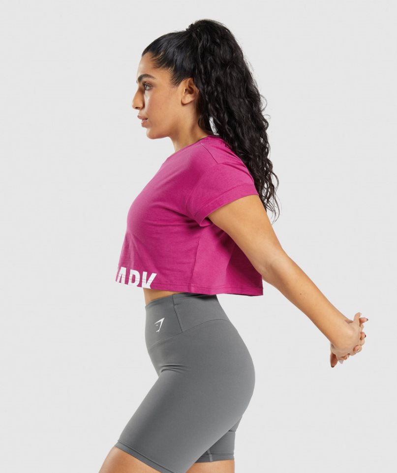 Camisa Recortada Gymshark Fraction Mujer Fucsia | ES4087-GB