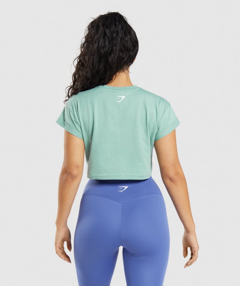 Camisa Recortada Gymshark Fraction Mujer Verde Claro | ES7346-WQ