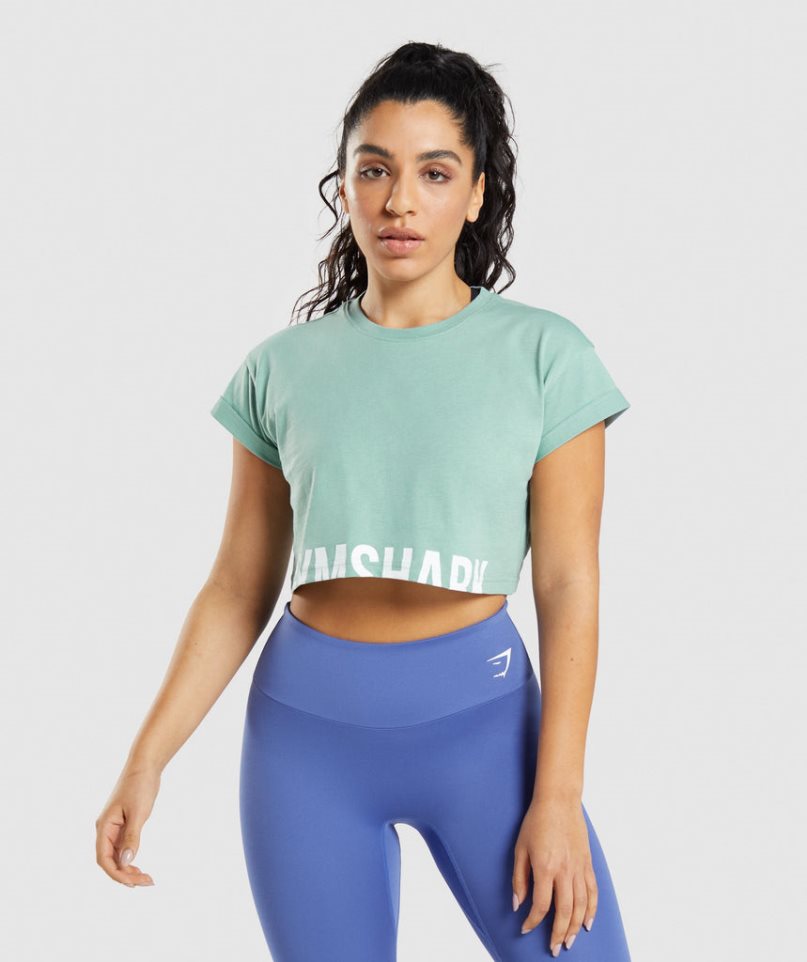 Camisa Recortada Gymshark Fraction Mujer Verde Claro | ES7346-WQ