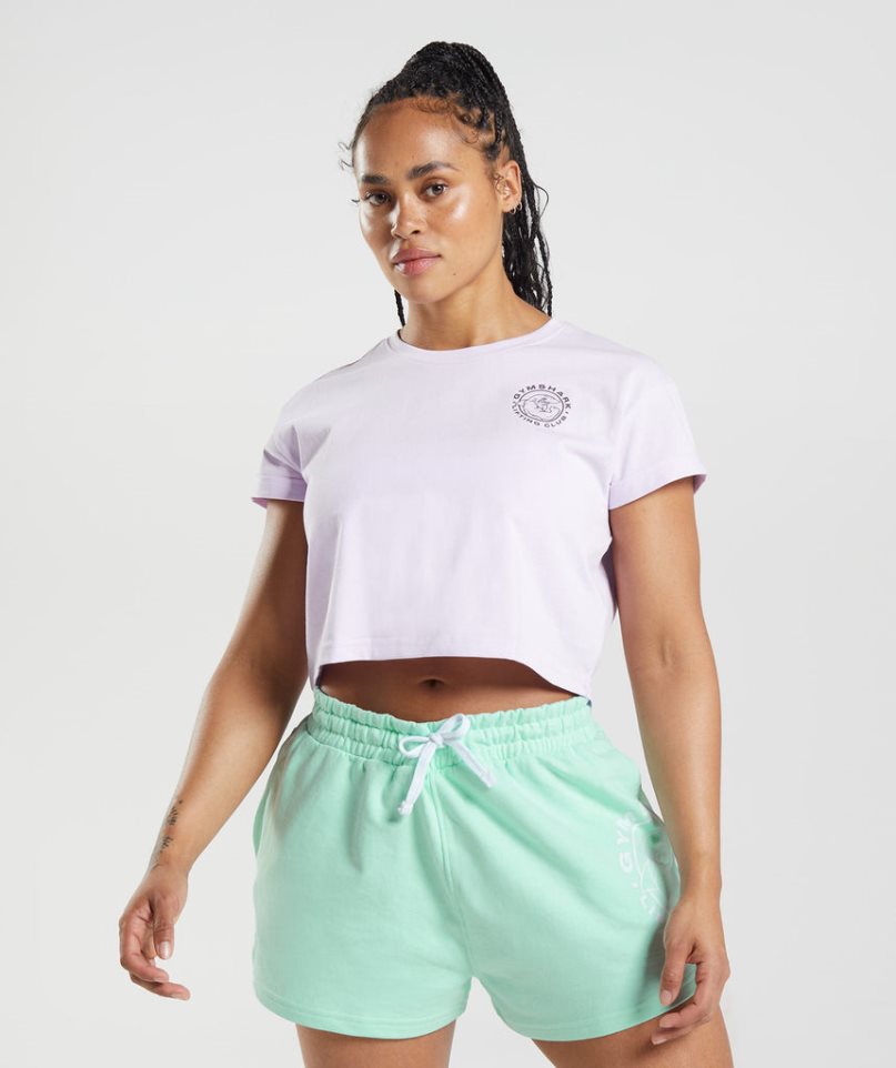 Camisa Recortada Gymshark Legacy Mujer Moradas Claro | ES2964-NB