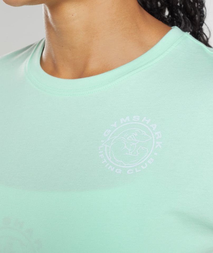 Camisa Recortada Gymshark Legacy Mujer Verde Claro | ES5936-IB