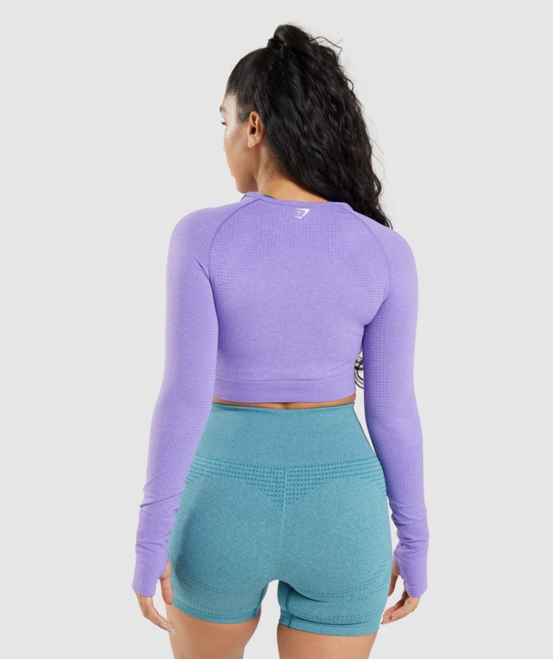 Camisa Recortada Gymshark Vital Seamless 2.0 Long Sleeve Mujer Lavanda | ES0913-WC